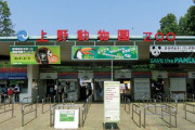 東京・上野動物園の「サル山」、老朽化のため取り壊されることに！