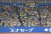阪神ファンが客席でゴミ拾い「素晴らしい行為」応援マナー物議の一方で話題に