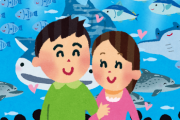 2回目のデートで水族館行く事になったんだけど