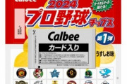「プロ野球チップス」おまけの中身がデカすぎて――。