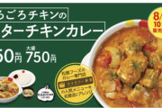【画像あり】本日より松屋で「ごろごろチキンのバターチキンカレー」発売！！！！！！