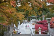【画像】ヒマなおっさん、大山阿夫利神社に行く