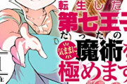【朗報】「転生したら第七王子だったので、気ままに魔術を極めます」ついにアニメ化決定へｗｗｗ