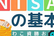 【悲報】つみたてNISA、なんと20代の6割以上も利用していた！！！！