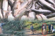 “サケ密漁”瞬間　漁獲高激減のなか地元は怒り「４年後に影響する」目を疑う犯行の実態とは　北海道  [10/11]