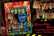 【悲報】大学教授さん、軽い気持ちでペヤングの「獄激辛FINAL」を食べてブチ切れｗｗｗ