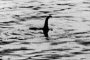 未確認生物「ネッシー」、50年ぶりに大規模捜索を実施！「目撃情報」きたあああ！！