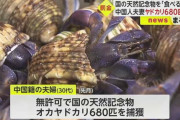 【沖縄】ヤドカリ680匹捕獲の中国人夫婦に罰金命令　国の天然記念物・オカヤドカリを「食べるつもりだった」
