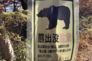 【速報】クマが人間を襲うようになった原因、『こいつら』のせいだった…