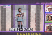 生田絵梨花さんとかいう神みたいなタイミングで卒業していったメンバー