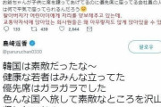 【画像】韓国人「韓国を称賛し、極右から“反日とみなしても宜しいですか？”と言われた元AKB島崎遥香さんの現在の姿をご覧ください」　韓国の反応