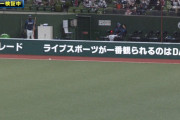 西武・呉念庭、走者一掃逆転タイムリースリーベース！ → 威厳ファールｗｗｗｗｗｗｗ