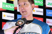 プロ野球選手のヒーローインタビュー、絶対「そうですね」を言う説