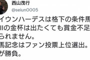 菊花賞17着のセイウンハーデスは有馬記念を視野　西山オーナー「久々の有馬出走？背広新調せな…」