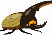 ヘラクレスオオカブトを日本全国に放って今いるカブトムシ淘汰させたらｗｗｗｗｗｗｗｗｗ