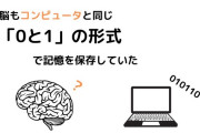 人間の脳、有機スーパーコンピュータだった　「0と1」で記憶を保存すると明らかに