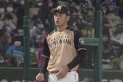 日ハム野村、20試合で6失策…