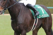 【初重賞の次は初G1を！】ロータスランド　岩田望来とのコンビで高松宮記念からヴィクトリアマイルへ