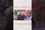 【櫻坂46】ゴリゴリの関西人な田村保乃「爆笑かっさらってるやんww」#Shorts #櫻坂46