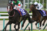 逆に有馬記念が最高に盛り上がる結末ってどういうのなの？