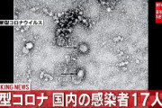 【速報】国内コロナ感染者さらに2人　累計17人