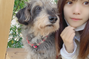 【日向坂46】愛犬がデカイのかメンバーが小さいのか・・・