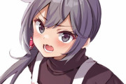 【艦これ】なぜ大の大人が年端もいかない駆逐艦をママと呼び慕うのか