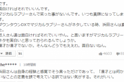 【悲報】マヂカルラブリーとヤフコメ民、バキバキの険悪状態へ突入…