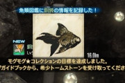 【FF14】モグコレ幻想2週目のウィークリープチモグチャレンジは青魔のマスクカーニバル＆ヌシ釣り！対象の西ザナラーンのヌシ「銅鏡」の釣り方がコチラ！