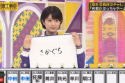 ひなちまはショートにして年相応に若返ったなｗｗｗ【乃木坂46】