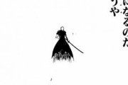 【朗報】BLEACH最大の名言、決まるｗｗｗｗｗｗｗｗｗｗｗｗ