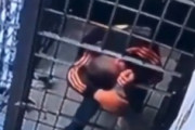 【動画】極めて狭い鉄格子をくぐり抜けて留置所から脱走した男。