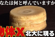 楽韓さん、本日の動向 - 北海道大学で「物体X」をあの名前で呼ぶことが決定したそうな。