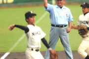 甲子園に審判で出場したことあるけど質問ある？