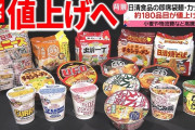 日清食品、カップヌードルなど約180品目を6月出荷分から値上げ