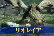 モンハンでリオレイア狩ってる時の「そうそうコレ」感は異常