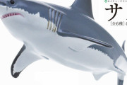 超リアル！「サメ」がガチャフィギュアになった！「ネイチャーテクニカラー400 サメ」
