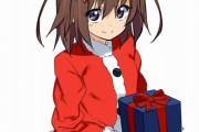 【えｗｗ】おまえらのクリスマスの予定書け！無いやつは年収でも書き込んでろｗ