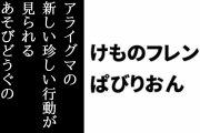 【けものフレンズぱびりおん】RTキャンペーンの1000リツイートを達成しアライグマの新しい珍しい行動が見られるあそびどうぐの制作が決定