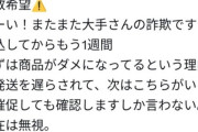 【画像】女の子「拡散希望！大手に詐欺られた！注文した商品が届かない！！」