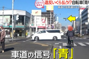 【悲報】歩道の信号が赤なのに車道の青信号に従って直進した自転車乗りさん、無事捕まってしまう