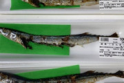 スーパー玉手の秋刀魚、安すぎる　￥100