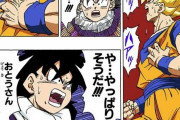 ドラゴンボール「悟空の心臓病がああ！w」←これ