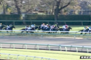 【有馬記念レース後コメント】アサマノイタズラ田辺「不可解です」