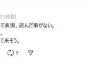 【悲報】「無言の帰宅」の意味を知らない人達、逆ギレを始めるｗｗｗｗ