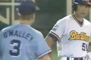 ヤクルトオリックスが優勝するとかいう伝説の年ｗ
