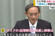 【朗報】日本政府さん、ついに動く！「マスク不足の原因を調べます」