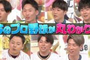 今年のジョブチューン野球回の人選渋すぎないか？