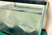 【画像】実験系X民、1キロの超巨大ミョウバン結晶を作りあげるｗｗｗｗ