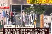 山口県の41歳会社役員の女、出産直後の赤ちゃんに暴行を加えて殺害